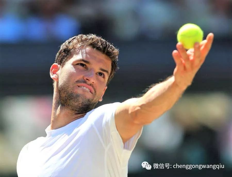 履历与合同 履历与合同